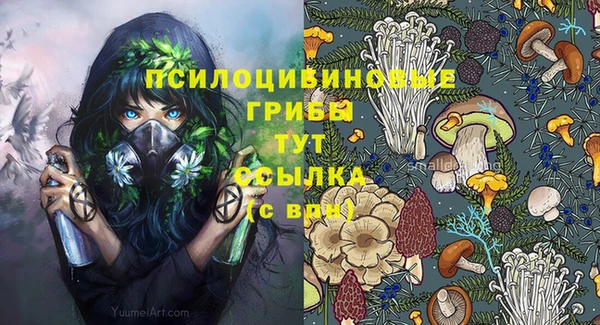 сатива Россошь