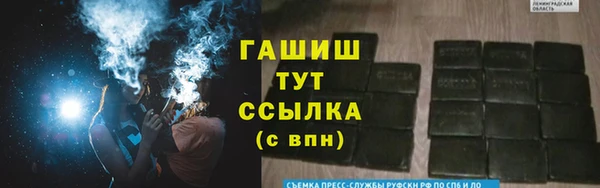 сатива Россошь
