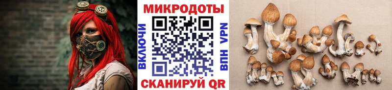 Псилоцибиновые грибы мицелий  Купить закладки  Кореновск 